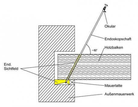 Telebuh - Holzschutzgutachten • Bauendoskopie • Bauthermografie - Bautechnische Endoskopie