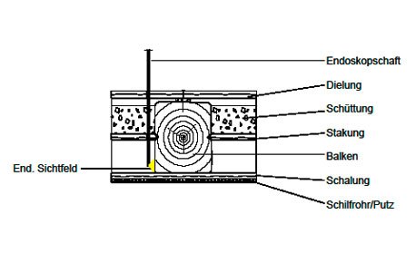 Telebuh - Holzschutzgutachten • Bauendoskopie • Bauthermografie - Leistungen